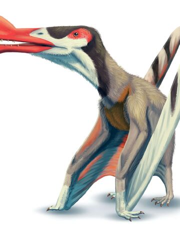 Ornithocheirus Wiki Prehistorico Fandom