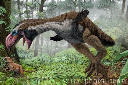 Gastornis