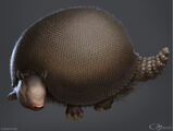 Glyptodon