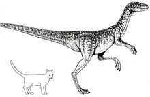 2-laevisuchus