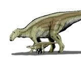 Maiasaura