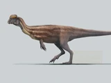Dilophosaurus