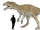 Bahariasaurus