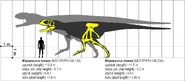 Mapusaurus-123.jpg (170 kB)