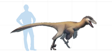 Latenivenatrix.png