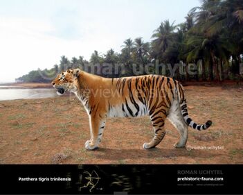 Panthera-trinilensis-738x591.jpg