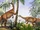 Irisosaurus