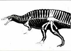 Siamosaurus skeleton