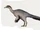 Paraxenisaurus