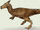 Dracorex