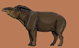 Tapirus cristatellus
