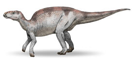 Probactrosaurus v3