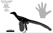 Ddbqf9g-a4770caa-1b5a-4244-a948-2ef0ed1b0f72.png