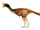 Hagryphus