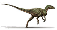 Ozraptor-0