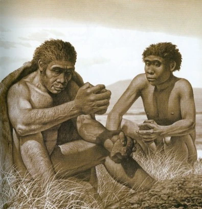 Homo ergaster | Prehistoria Fandom | Fandom