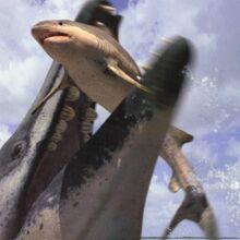 WWBBook Physogaleus