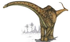 Zapalasaurus