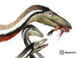 Crédito: Edyta Felcyn Kowalska (Apsaravis)