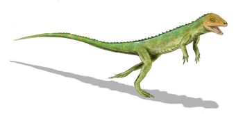 Eudibamus