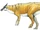 Augustynolophus