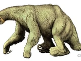 Eremotherium
