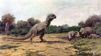 Tyrannosaurus 1905