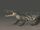 Borealosuchus