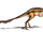 Alvarezsaurus