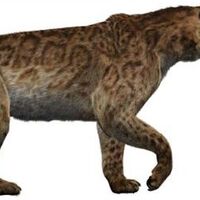 Smilodon Wiki Prehistórico Fandom