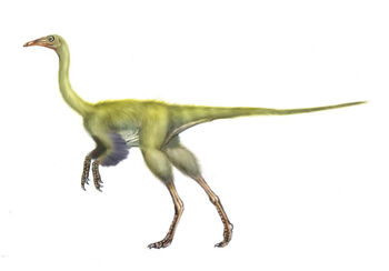 Harpymimus