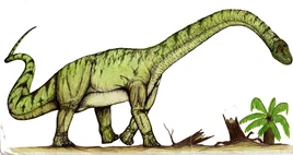 Rebbachisaurus