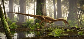 Erythrovenator BY Marcio Castro