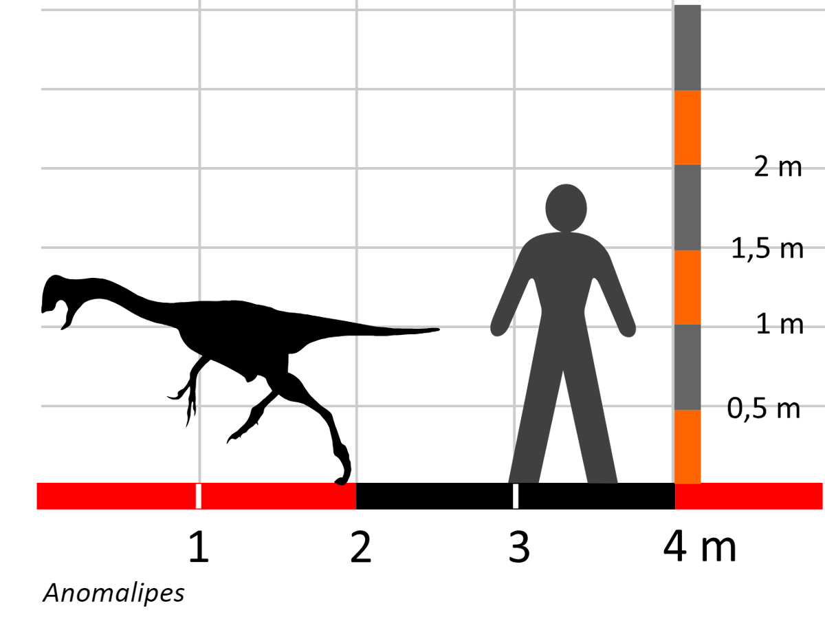 Anomalipes Prehistoria Fandom Fandom