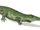 Proterosuchus