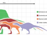 Spinosauridae