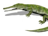 Champsosaurus