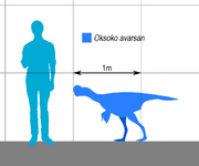 1024px-Oksoko Scale.svg