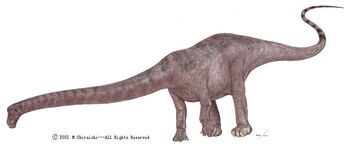 Tornieria africana