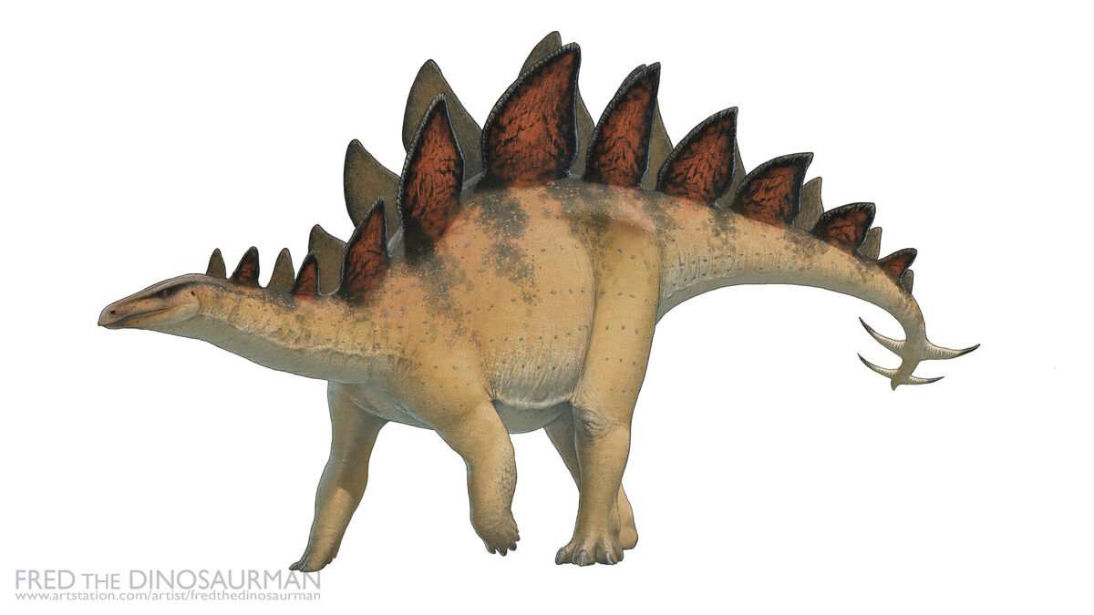 Stegosaurus | Prehistoria Fandom | Fandom Stegosaurus | Prehistoria Fandom | Fandom