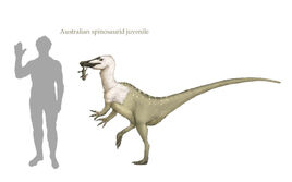 Aussie spinosaurid by hyrotrioskjan-d4ym5c0