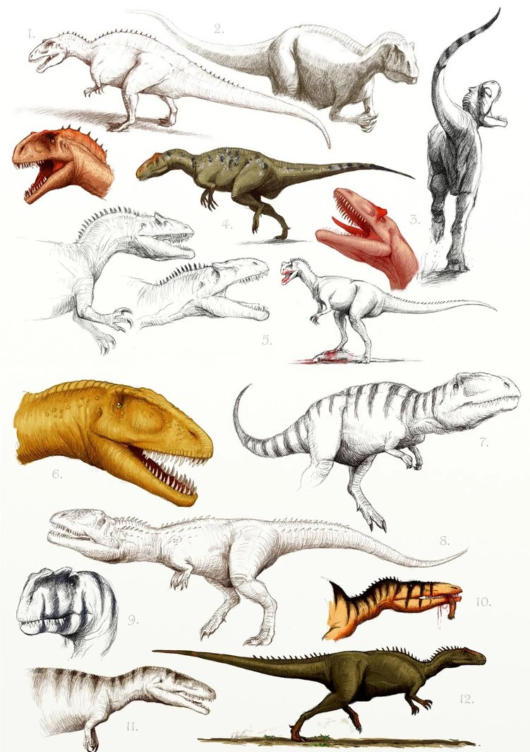 Allosauroidea Prehistoria Fandom Fandom