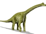 Ultrasauros