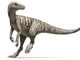 Herrerasaurus