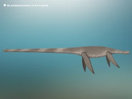 Elasmosaurus platyurus by PaleoHistoric