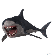 Megalodonte-0.png