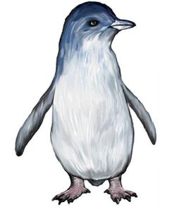 Aprosdokitos mikrotero