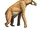 Chalicotherium