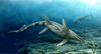 Shastasaurus Group