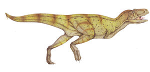 Aucasaurus.